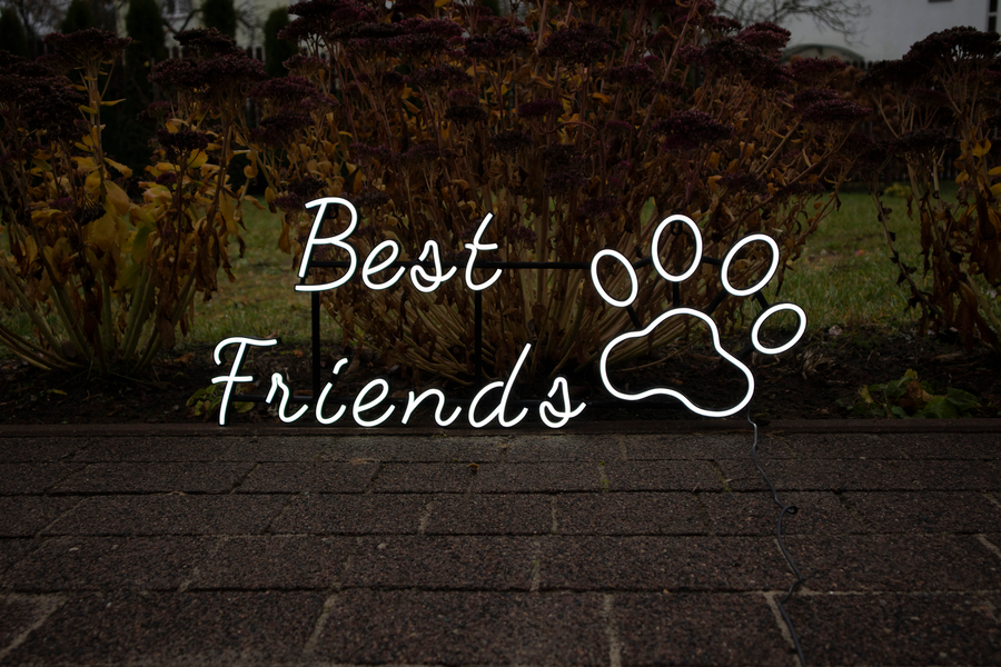 Zdjęcie na okładce dla Neony na zamówienie - LEDEON